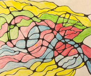 أعمال المشاركين فى البرنامج ابداعهم ونتائجهم